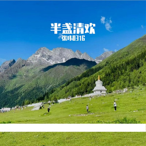 半盏清欢