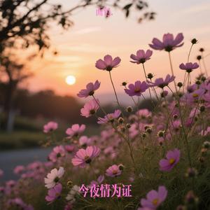 今夜情为证（面包. Remix）