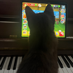 才二十三cover方大同