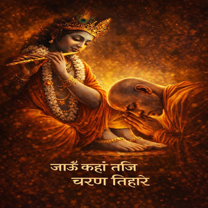 जाऊँ कहां तजि चरण तिहारे
