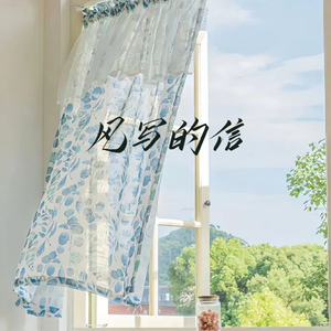 风写的信（纯音乐）