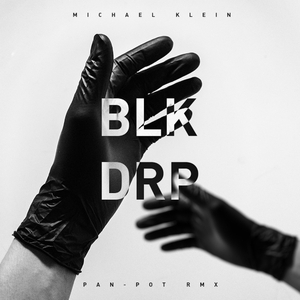 Blk Drp 301 (Original Mix)