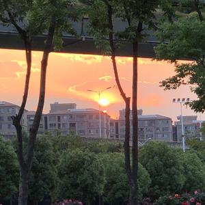 这场名叫人生的旅途