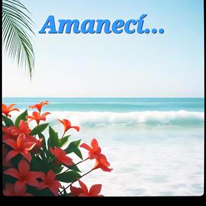 Amanecí...