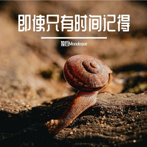 安与伯德-初见