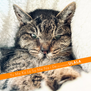 ユメカラサメナイデ (Archetype)