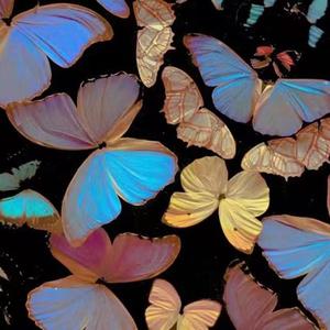 没意思 喝完这杯马上回家