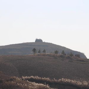 土窑洞里的爹娘