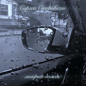 Мокрый дождь