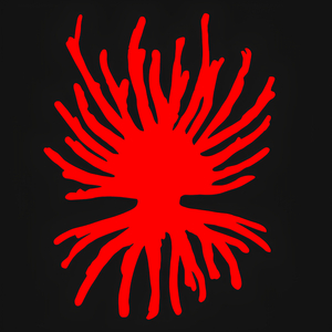 Ładne Kwiatki Przekwitają