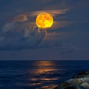 我对自己开了一枪（翻自 摩登兄弟）