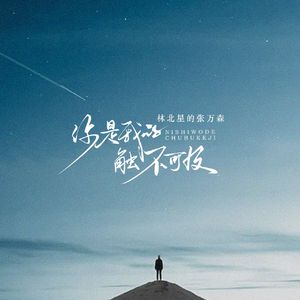 你是我的触不可及