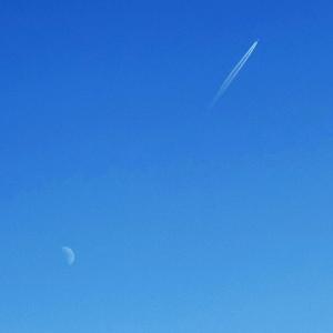 沦陷（翻自 王靖雯不胖）