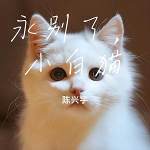 永别了，小白猫 (伴奏版)