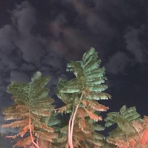 瓶与抛光者（翻自 廖俊涛）