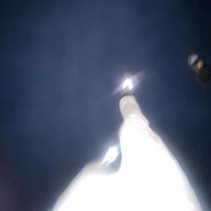 fever dreams (test drop)