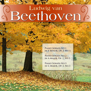 Piano Sonata No.3 in C Major, Op. 2, No.3: III. Scherzo - Allegro