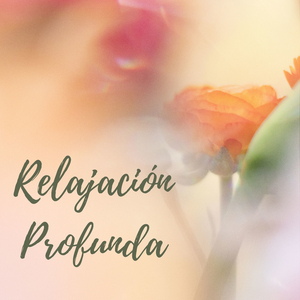 Viaje al Centro de la Calma