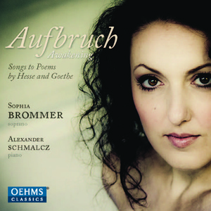 10 Lieder, Op. 24b (text by H. Hesse):No. 7. Keine Rast