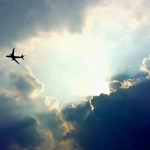 如果忘记一切有关于你的故事就可以停止哭泣轻松生活下去吗