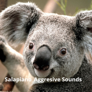 Aggresive Sounds