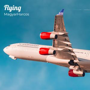 Flying