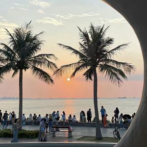 那天我在等风来.mp