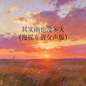 其实雨也没多大(慢摇车载女声版)