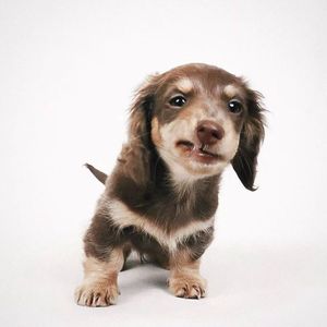 my last week just like...