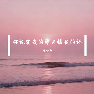 你说爱我的乖又恨我的坏