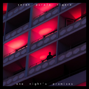 One Night's Promises