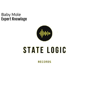 Expert Knowlage (Original Mix)