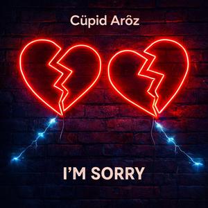 I'm Sorry