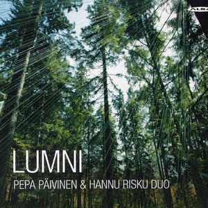 Up Towards Celestial Dimensions