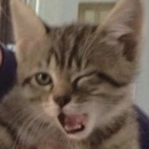 Je Ne Veux Pas La Fin De Nous (sped up)