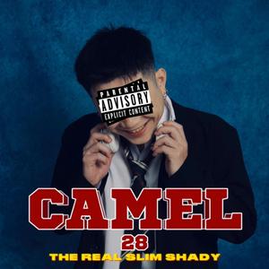 THE REAL SLIM SHADY (Demo)