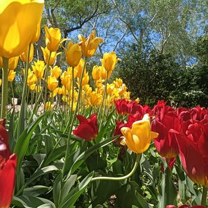 欢乐世界（纯音乐）