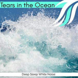 Stream Forest Insects Noise