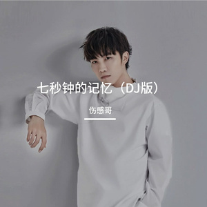 七秒钟的记忆(DJ落天版）