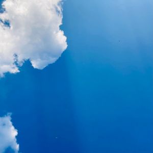 我们会在晚风里遇见