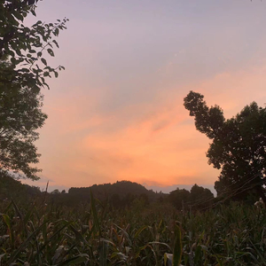 给你们的信（Prod.RAY&VVSMELODY）