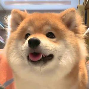 忽而今夏