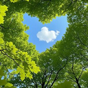 鸟儿枝头欢叫 风儿轻轻奔跑