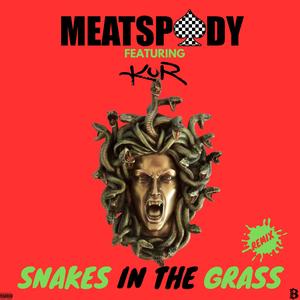 Snakes In The Grass (feat. Kur) (Remix)