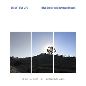 Bright Size Life (Live Guitar and Keyboard Cover)