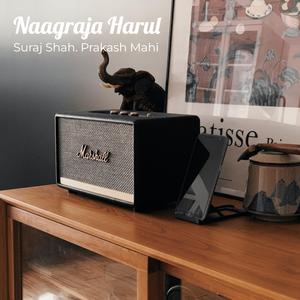 Naagraja Harul