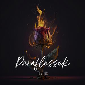 Társadalom Kritika