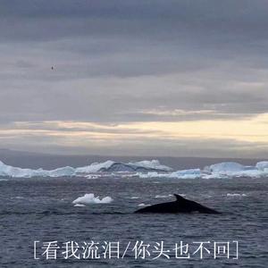 看我流泪你头也不回