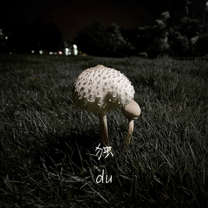 why can’t（instrumental）