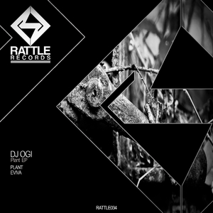 Eviva (Original Mix)